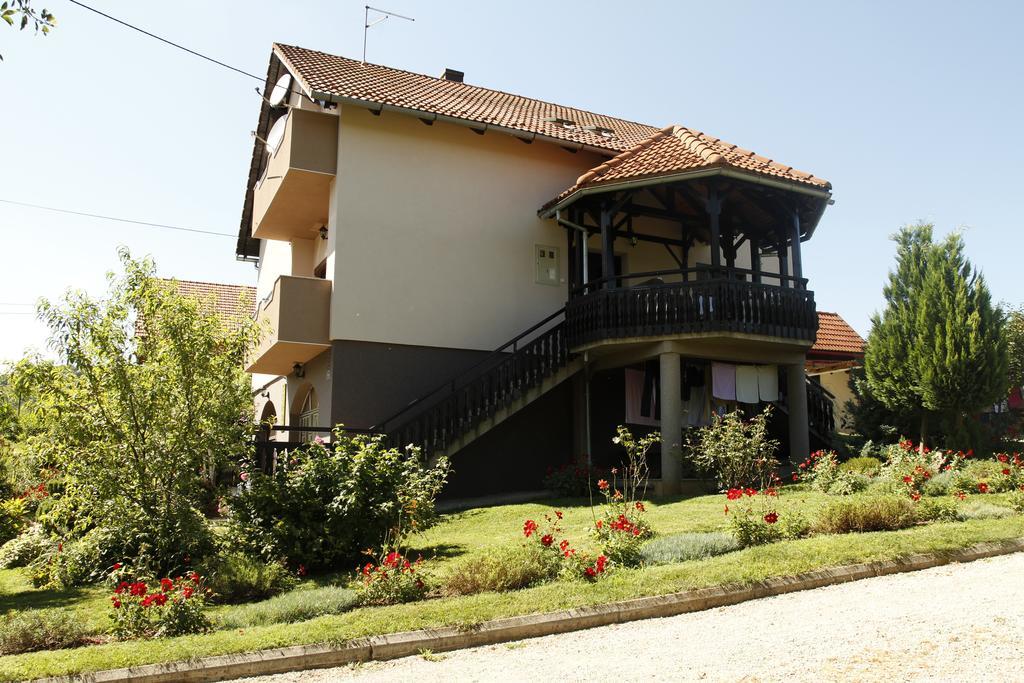 Apartments Tratincica سيليست دريزنيكو المظهر الخارجي الصورة